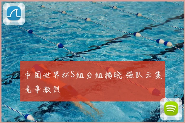 中国世界杯S组分组揭晓 强队云集竞争激烈