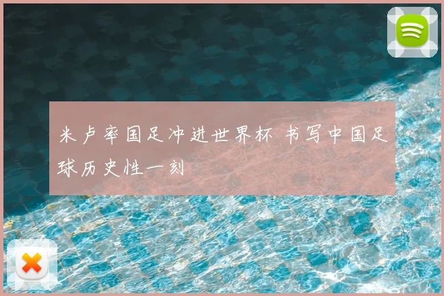 米卢率国足冲进世界杯 书写中国足球历史性一刻