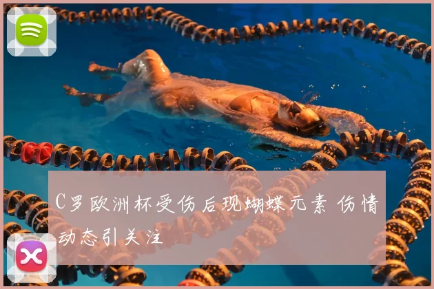C罗欧洲杯受伤后现蝴蝶元素 伤情动态引关注